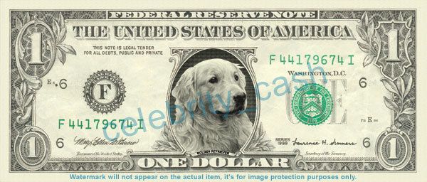 Golden Retriever Dollar Bill   Mint  