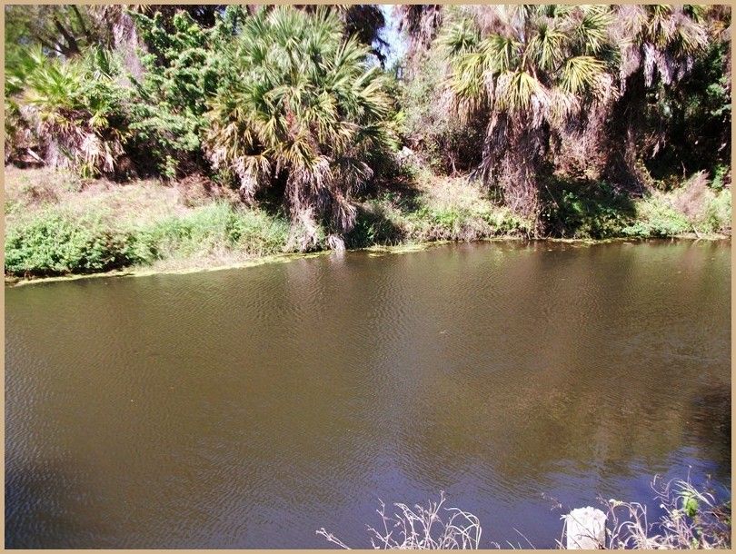 View of the Canal from the lot looking North West