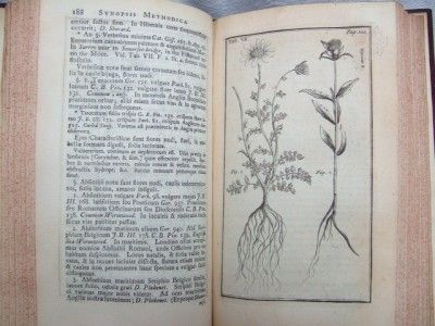 1724 Early ENGLISH BOTANY Rays Methodica * 24 Engraved Plates * No 