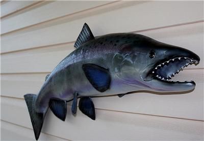 NEW XXL Steelhead Rainbow Trout Replica MOUNT 36 inch  