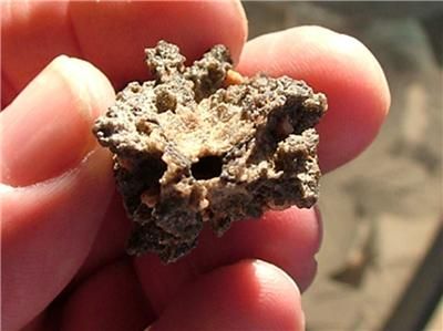 54mm HOLLOW FULGURITE SPECIMEN CREATED BY LIGHTENING  