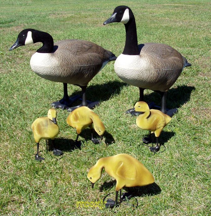 BIGFOOT BIG FOOT CANADA GOOSE DECOYS YARD LAWN DECOR ORNAMENT+4 