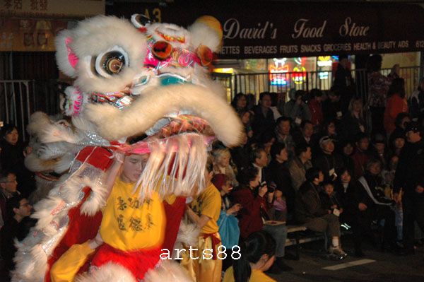 CHINESE Kung Fu Authentic Lion Dance Head & Body 17 L  