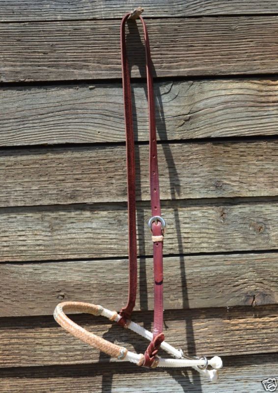 Reinsman XS Braided Turquoise Rawhide Noseband w/Hanger 670695408681 