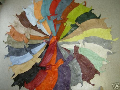 NEW GENUINE CROCODILE SKIN HIDE HORNBACK ANY COLOR, 34 36 CM WIDE 