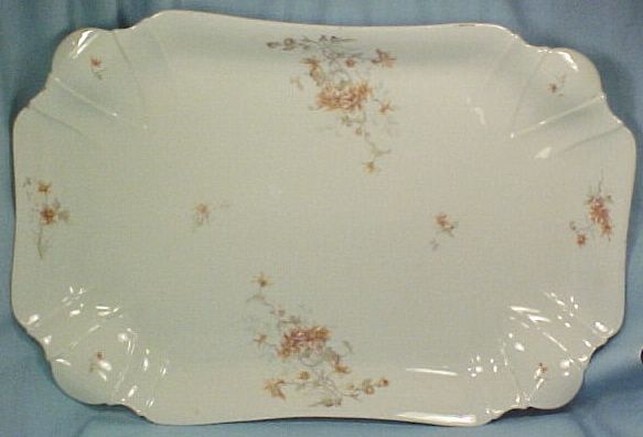 Huge FLOWERED PORCELAIN MEAT PLATTER Leonard Austria  