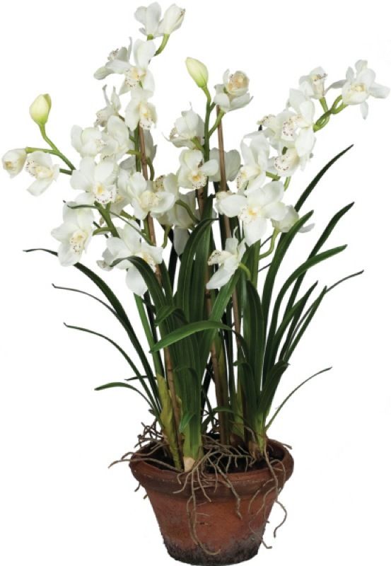 44 Artificial Potted Large White Orchid Cymbidium  