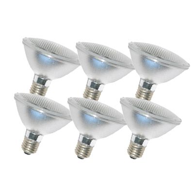   PAR30 120V 60W 60watt Flood Halogen Light Bulb 847263082899  