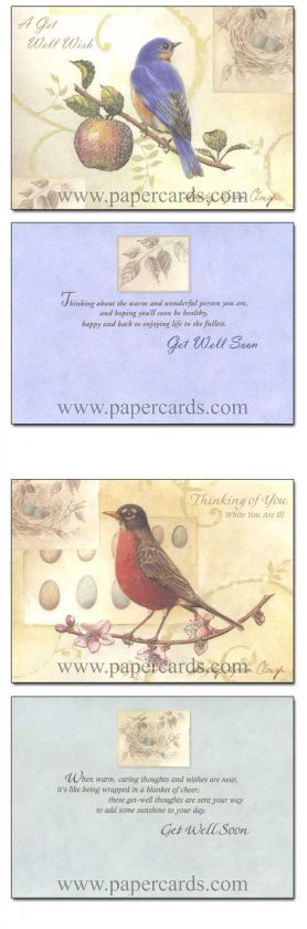 Song Birds Sandy Clough Get Well Cards Box of 12  