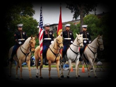 USMC CEREMONIAL GOLD OR SILVER NCO SWORD YOUR CHOICE  