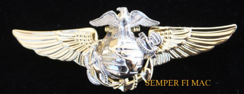 US MARINES EGA WINGS LARGE XL HAT PIN MCAS USS USMC WOW  